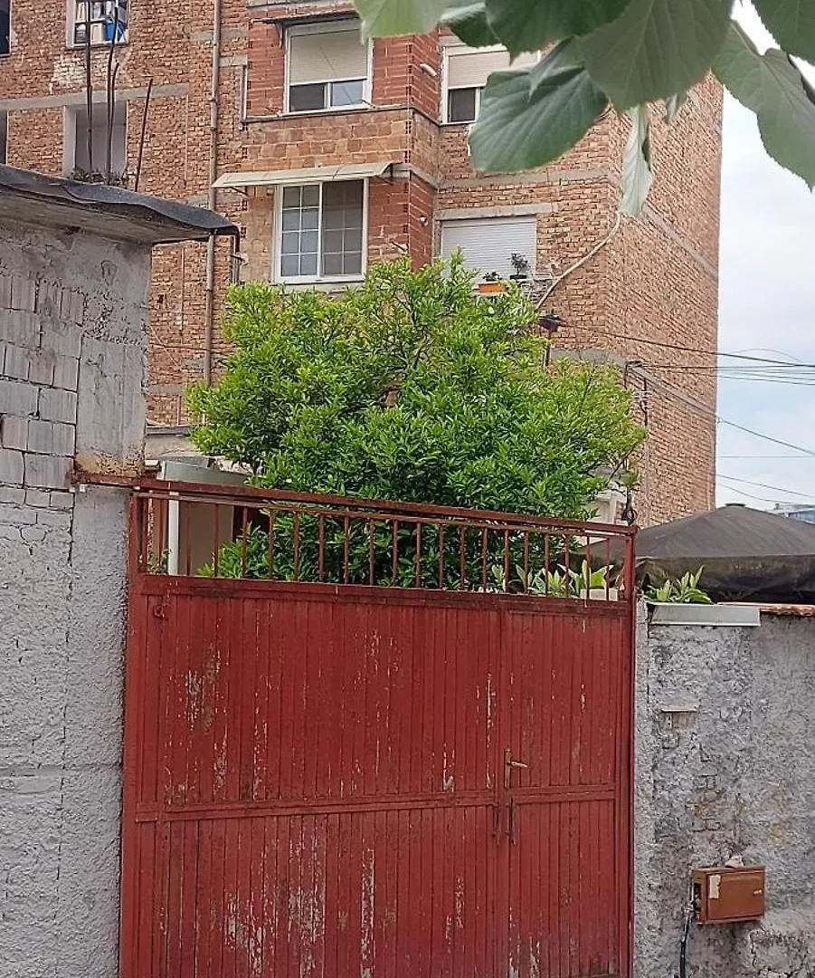 La Piccola Bellezza Lägenhet Tirana