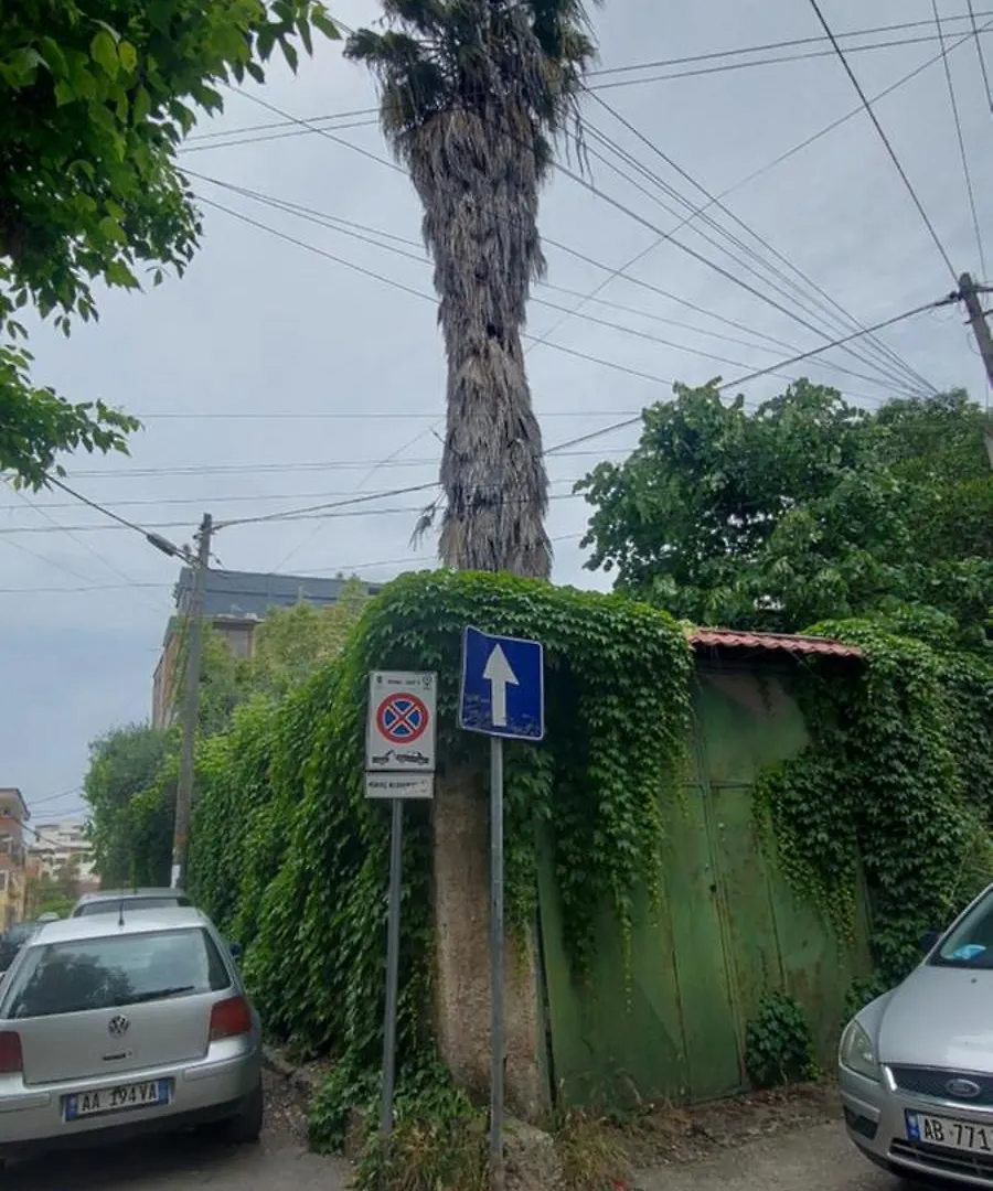 La Piccola Bellezza Lägenhet Tirana